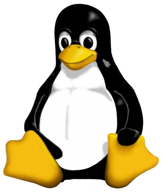 Il pinguino Linux