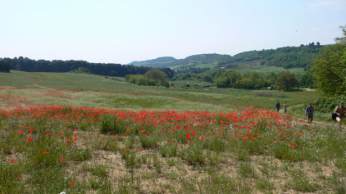 Murgia barese (photo Pino Bruno) 