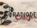 Cafè Jerusalem diventa album, i Radiodervish vincono la sfida del crowdfunding